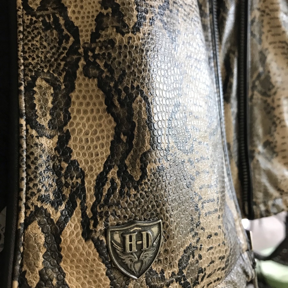 Harley Davidson Black And Python Snakeskin Leathe… - image 3